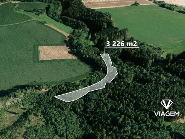 Prodej podílu lesa, Vilémov, 430 m2