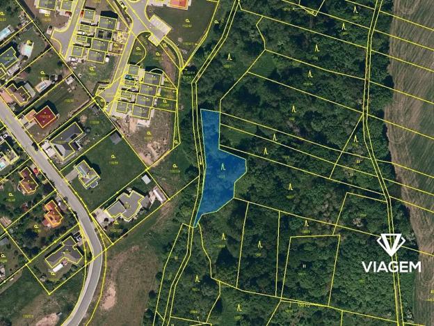 Prodej lesa, Velká Polom, 1258 m2