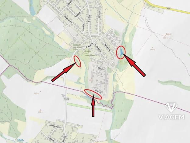 Prodej lesa, Velká Polom, 1258 m2