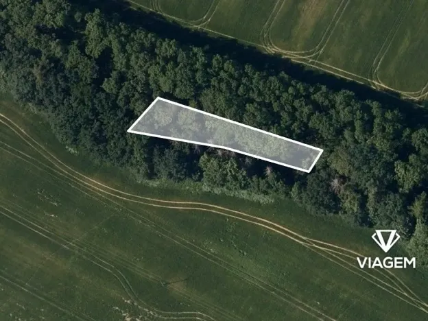 Prodej podílu lesa, Bouzov, 642 m2