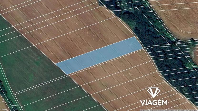 Prodej podílu pole, Nedachlebice, 530 m2