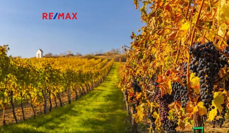 Prodej pozemku pro bydlení, Novosedly, 2412 m2