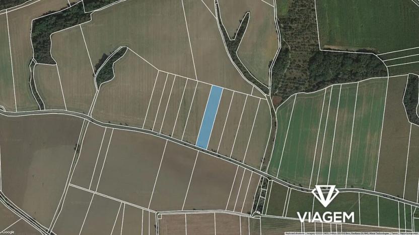 Prodej podílu pole, Plzeň, 1831 m2