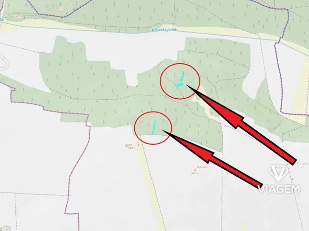 Prodej lesa, Bílov, 2331 m2