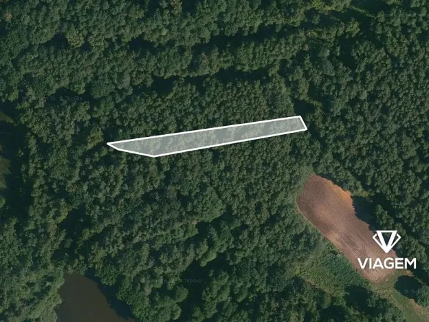 Prodej lesa, Třeboň, 1201 m2