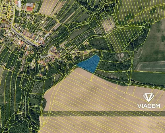 Prodej zahrady, Medlovice, 4855 m2