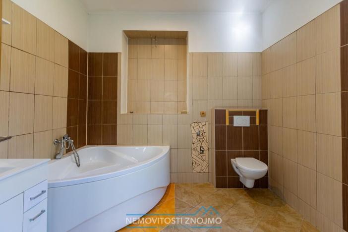 Prodej vícegeneračního domu, Jaroslavice, Mlýnská, 360 m2