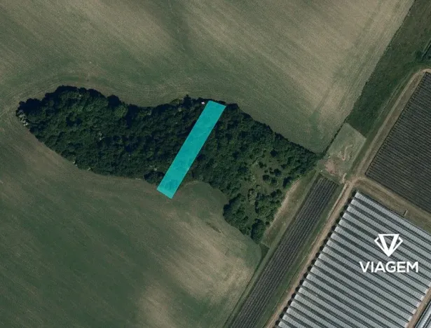 Prodej zahrady, Hovorany, 1843 m2