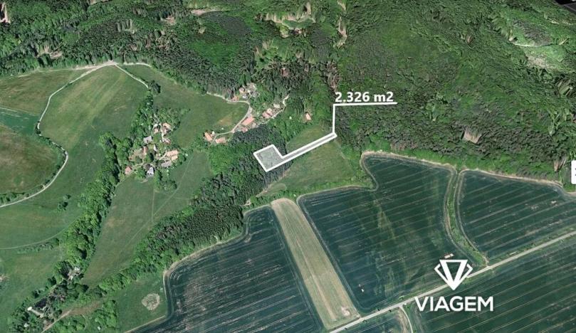 Prodej lesa, Vlkančice, 2326 m2