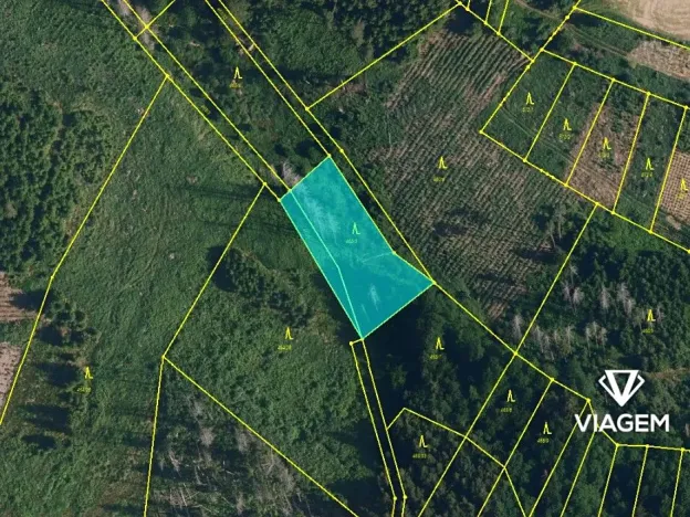 Prodej podílu lesa, Radkovice u Budče, 13191 m2