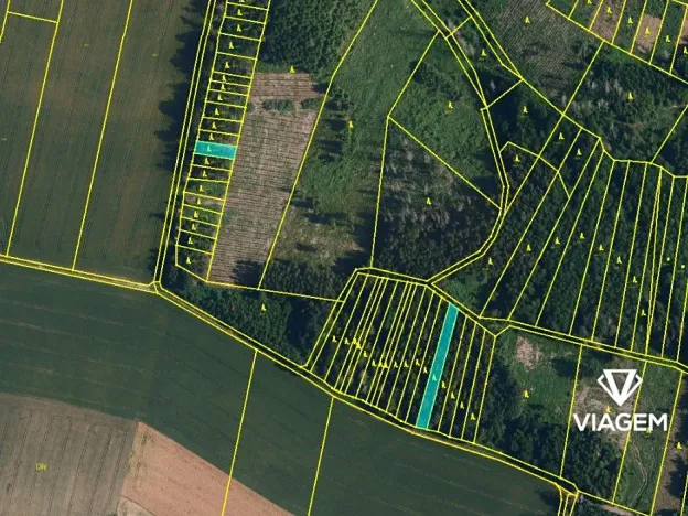 Prodej podílu lesa, Radkovice u Budče, 13191 m2