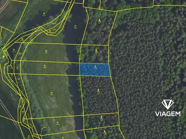 Prodej lesa, Vlkančice, 611 m2