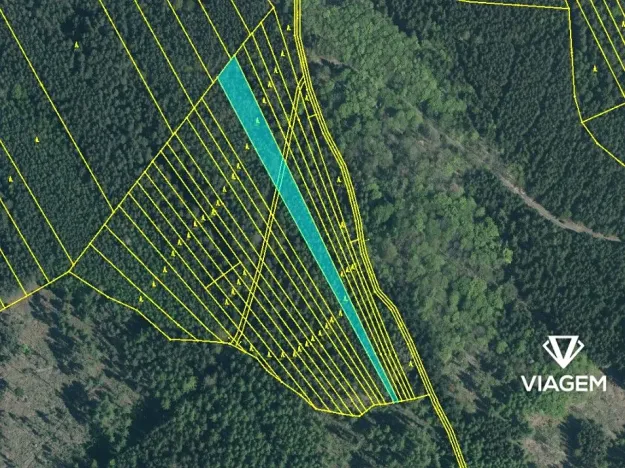 Prodej lesa, Hradiště, 4087 m2