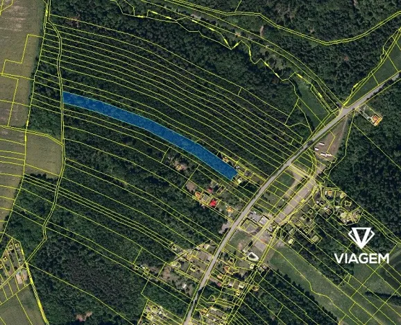 Prodej lesa, Horní Lhota, 9071 m2