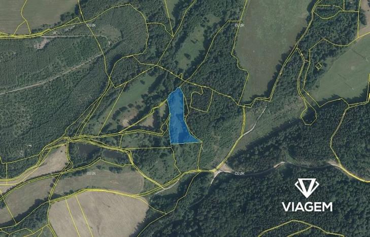 Prodej louky, Sokolov, 10460 m2