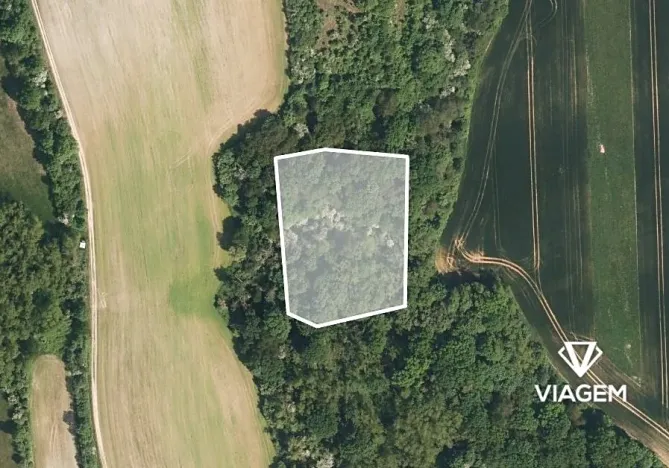 Prodej podílu lesa, Kudlovice, 4108 m2