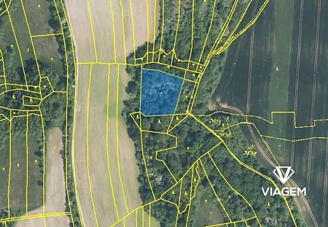 Prodej podílu lesa, Kudlovice, 4108 m2