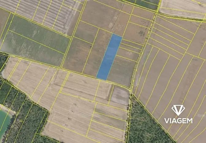 Prodej podílu pole, Sudovo Hlavno, 4625 m2