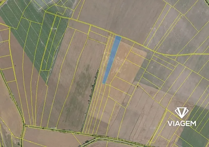 Prodej podílu pole, Sudovo Hlavno, 2950 m2