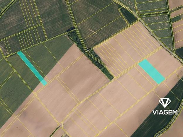 Prodej podílu lesa, Radkova Lhota, 2383 m2