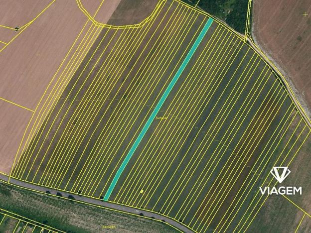 Prodej podílu pole, Kuchařovice, 2403 m2