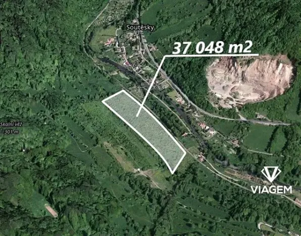 Prodej lesa, Malá Veleň, 37048 m2