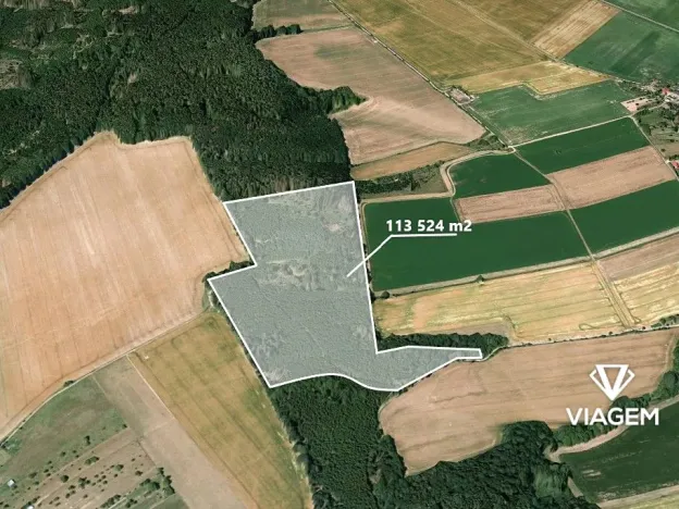 Prodej podílu lesa, Palonín, 21888 m2