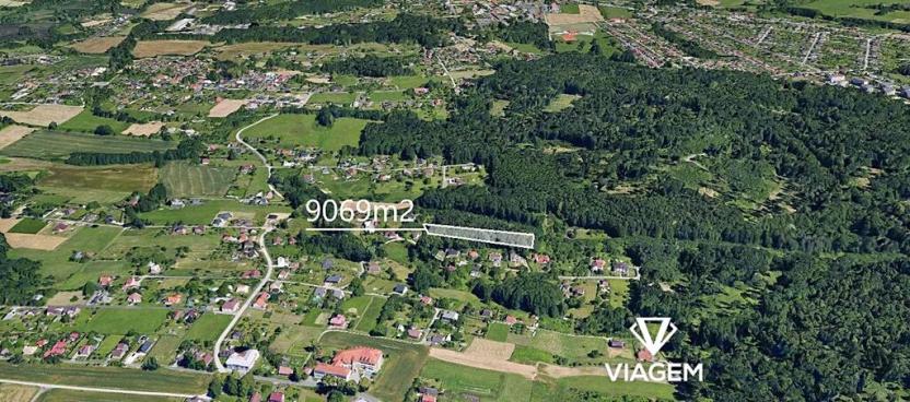 Prodej lesa, Rychvald, 9069 m2