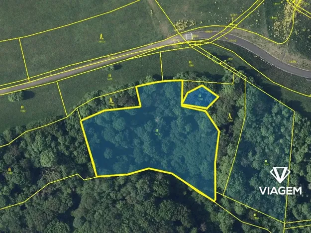 Prodej podílu lesa, Prackovice nad Labem, 1233 m2