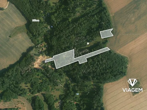 Prodej podílu lesa, Ondřejov, 7382 m2