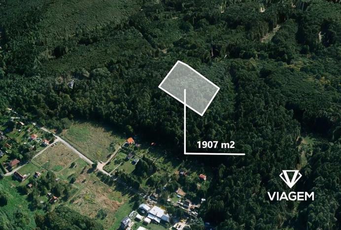 Prodej lesa, Libeř, 1907 m2