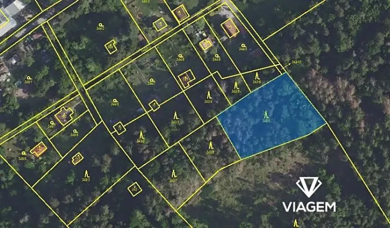 Prodej lesa, Libeř, 1907 m2