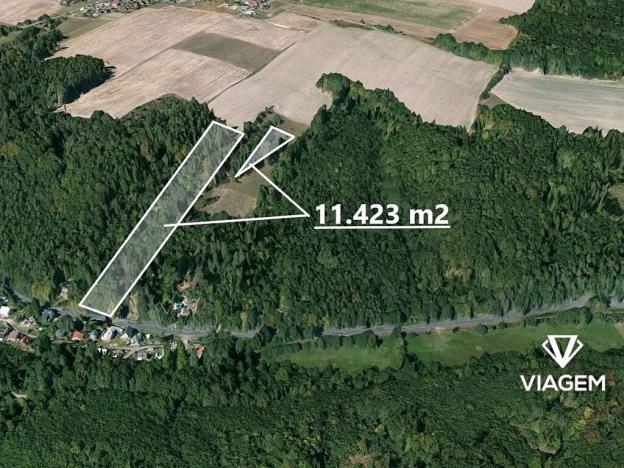 Prodej lesa, Horní Lhota, 11423 m2