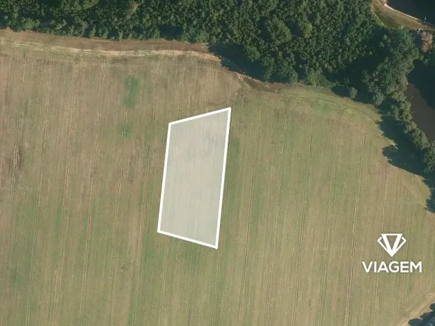 Prodej podílu pole, Tučapy, 3060 m2