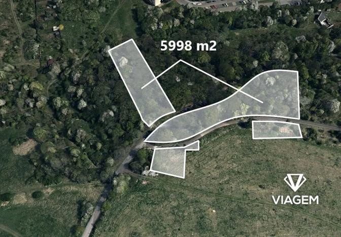 Prodej lesa, Ústí nad Labem, 5998 m2