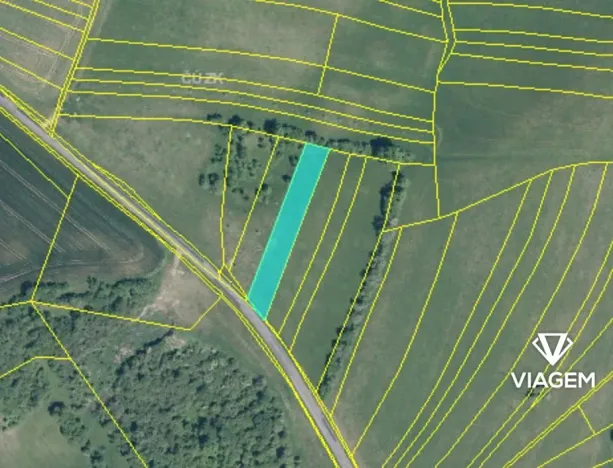 Prodej zahrady, Částkov, 2385 m2