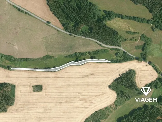 Prodej lesa, Svojšín, 2777 m2