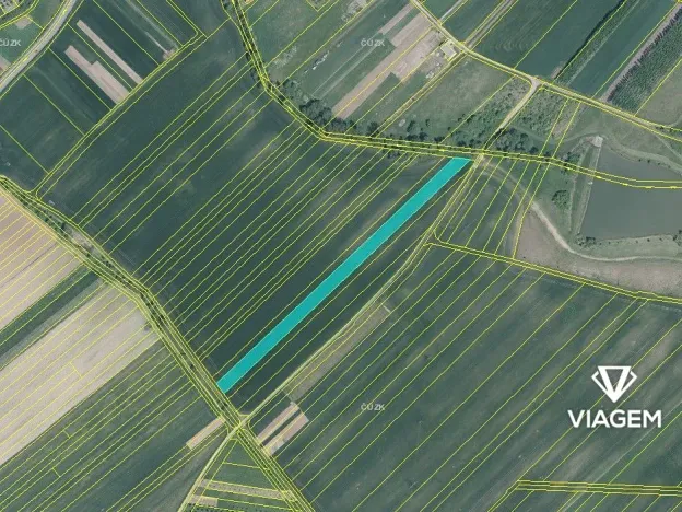 Prodej pole, Prakšice, 7944 m2