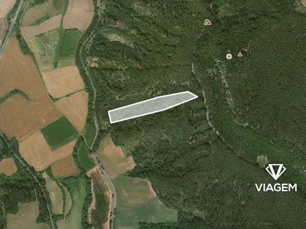 Prodej podílu lesa, Hřivice, 5452 m2