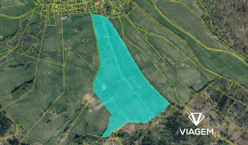 Prodej podílu pole, Šluknov, Knížecí, 3781 m2