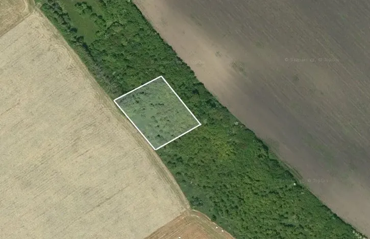 Prodej podílu pole, Lovčice, 566 m2