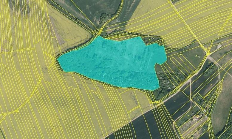 Prodej podílu louky, Koryčany, 11555 m2