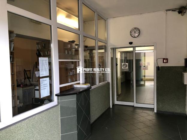 Pronájem bytu 1+kk, Praha - Krč, Štúrova, 20 m2