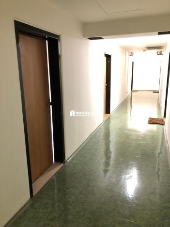 Pronájem bytu 1+kk, Praha - Krč, Štúrova, 20 m2