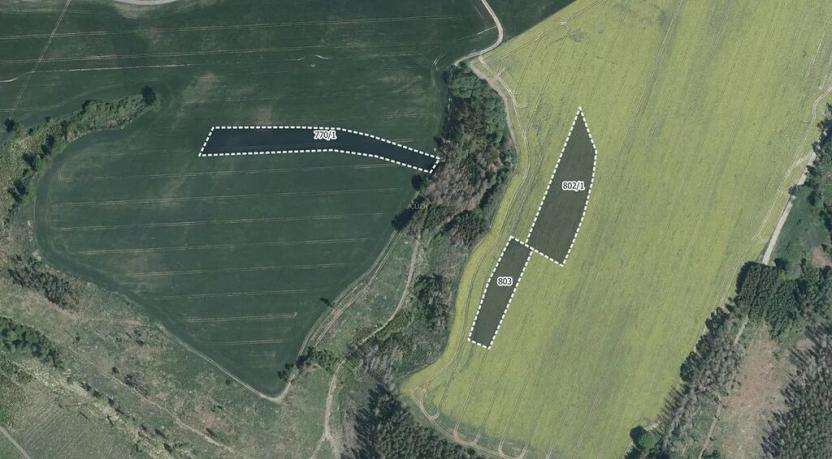 Prodej pole, Hořice, 32824 m2