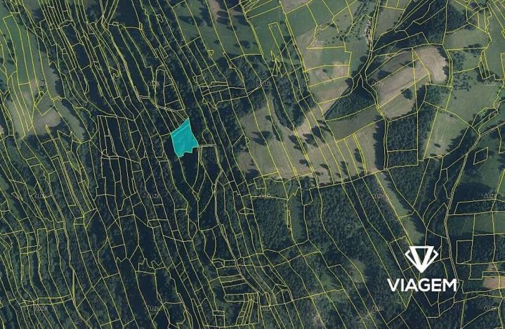 Prodej podílu lesa, Nový Hrozenkov, 879 m2