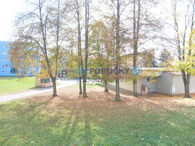 Prodej bytu 1+1, Havlíčkův Brod, Žižkov II, 35 m2
