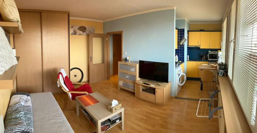 Pronájem bytu 1+kk, Kladno, Americká, 27 m2