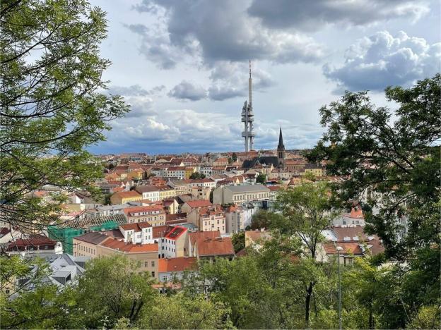 Prodej bytu 2+kk, Praha - Žižkov, Cimburkova, 36 m2