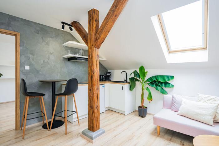 Prodej bytu 2+kk, Praha - Žižkov, Cimburkova, 36 m2